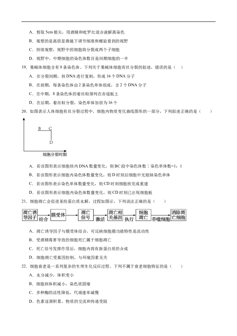 河北安平中学2025-2026学年高一下学期寒假作业测试生物试卷_2026年03月高一试卷_260317河北安平中学2025-2026学年高一下学期寒假作业测试试卷