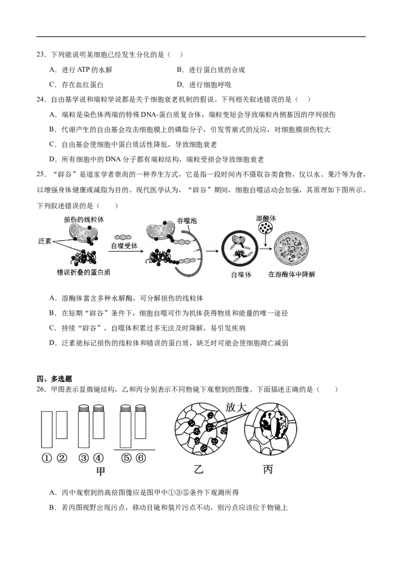 河北安平中学2025-2026学年高一下学期寒假作业测试生物试卷_2026年03月高一试卷_260317河北安平中学2025-2026学年高一下学期寒假作业测试试卷