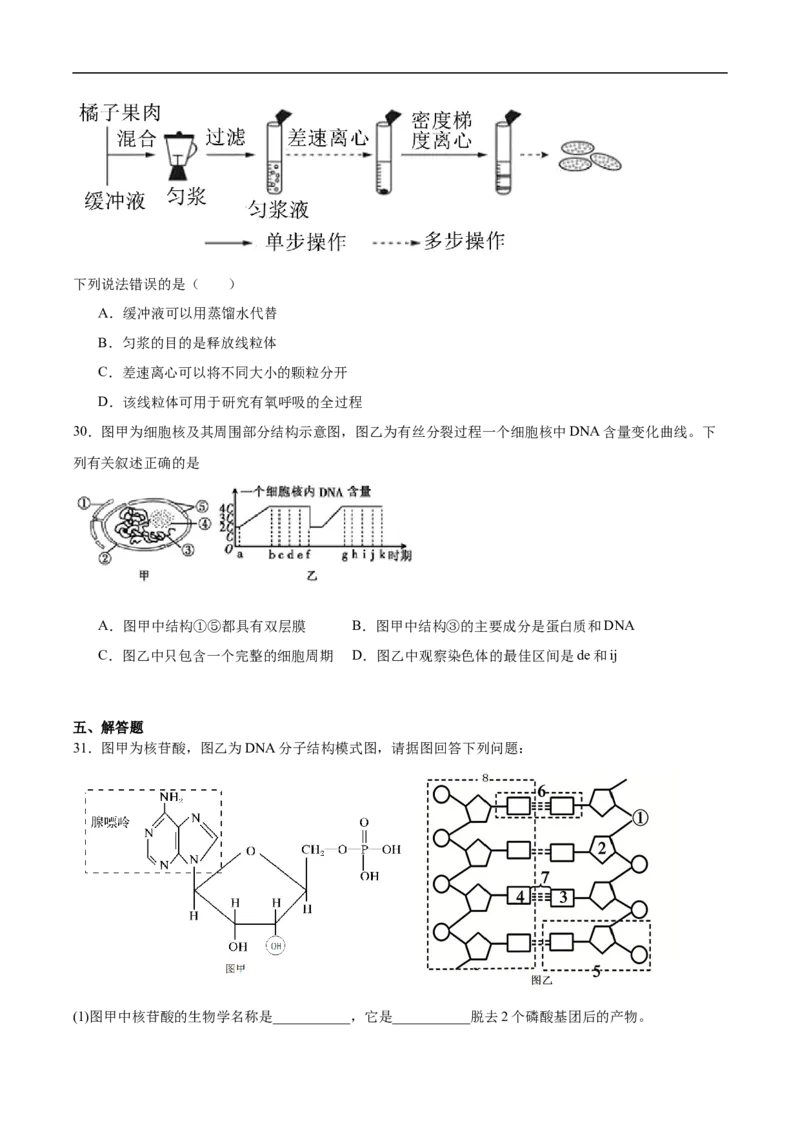 河北安平中学2025-2026学年高一下学期寒假作业测试生物试卷_2026年03月高一试卷_260317河北安平中学2025-2026学年高一下学期寒假作业测试试卷