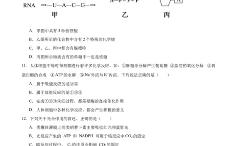 河北安平中学2025-2026学年高一下学期寒假作业测试生物试卷_2026年03月高一试卷_260317河北安平中学2025-2026学年高一下学期寒假作业测试试卷