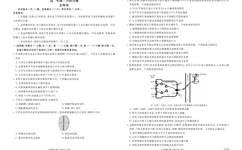 高二年级1月份自测生物正文A版_2026年02月高二试卷_260203广东省衡水金卷2027届高二年级1月份期末自测（全）