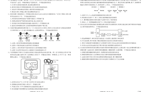 高二年级1月份自测生物正文A版_2026年02月高二试卷_260203广东省衡水金卷2027届高二年级1月份期末自测（全）