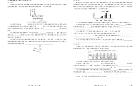高二年级1月份自测生物正文A版_2026年02月高二试卷_260203广东省衡水金卷2027届高二年级1月份期末自测（全）