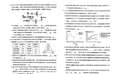 高二生物试卷_2026年02月高二试卷_260216山西省阳泉市2025-2026学年上学期期末高二_山西省阳泉市2025-2026学年上学期期末高二生物试题（图片版，含答案）