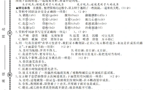小升初语文真题卷5套_2026年小升初真题卷+绝密押题卷+专项训练