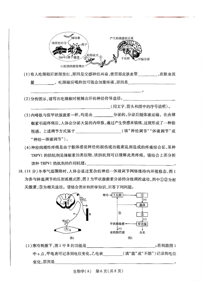 天一河南高二生物_2026年03月高二试卷_260329河南天一大联考2026年高二3月联考（全科）_生物