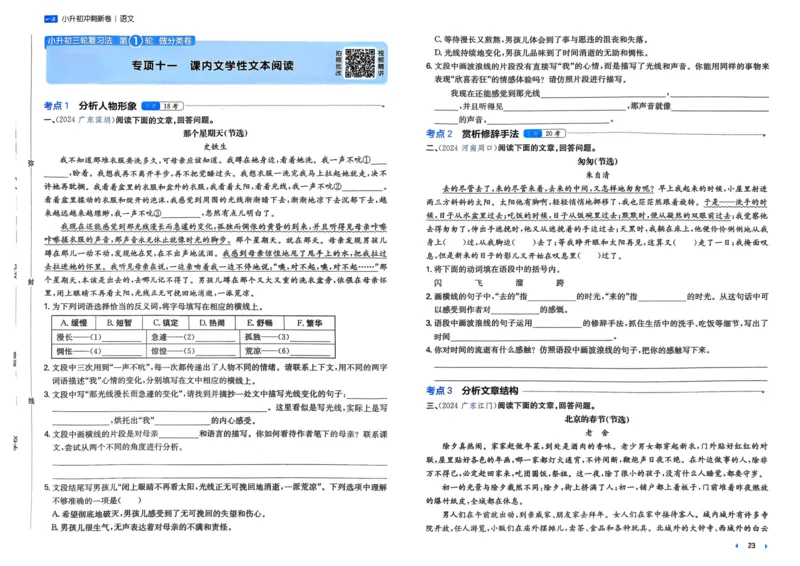 25一本小升初冲刺新卷-语文