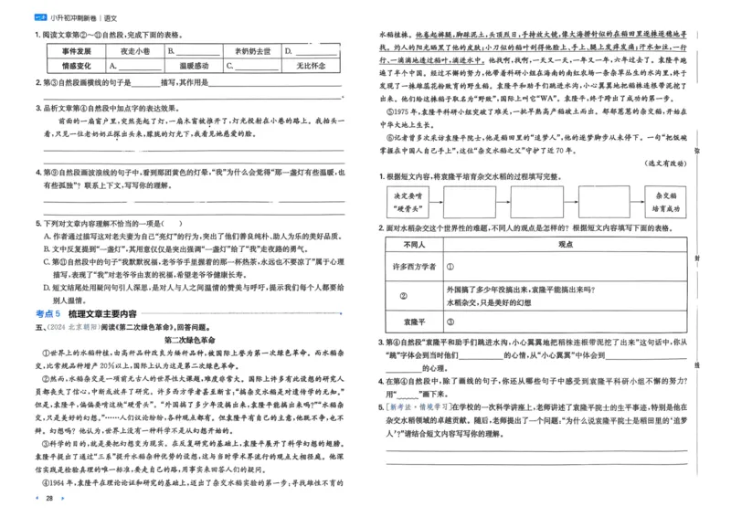 25一本小升初冲刺新卷-语文