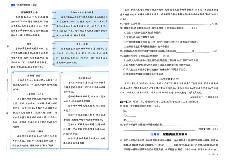 25一本小升初冲刺新卷-语文
