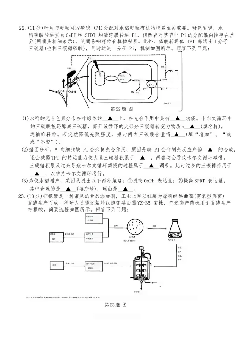 浙江省温州市2025-2026学年高二上学期1月期末生物试题B（含答案）_2026年02月高二试卷_260208浙江省温州市2025-2026学年高二上学期期末（A卷+B卷）（全）