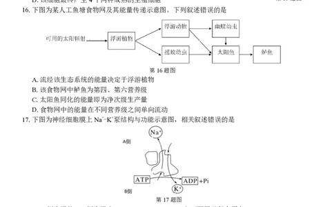 高二生物试题_2026年03月高二试卷_260329浙江四校(含精诚联盟)2025-2026学年高二下学期3月阶段检测（全科）