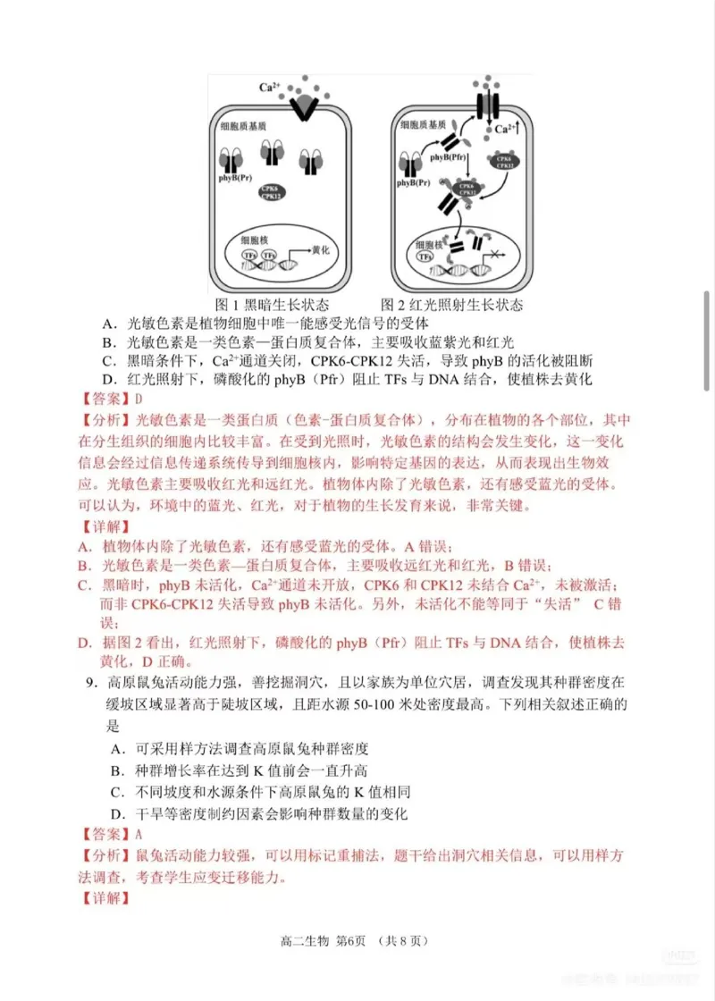生物试题卷详细解析与答案_2026年02月高二试卷_260219江苏省苏州市2025-2026学年度高二上学期期末考试（全）_江苏苏州市2025-2026学年高二上学期期末考试生物试题（含答案）
