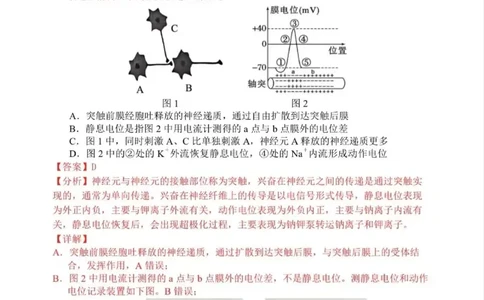 生物试题卷详细解析与答案_2026年02月高二试卷_260219江苏省苏州市2025-2026学年度高二上学期期末考试（全）_江苏苏州市2025-2026学年高二上学期期末考试生物试题（含答案）