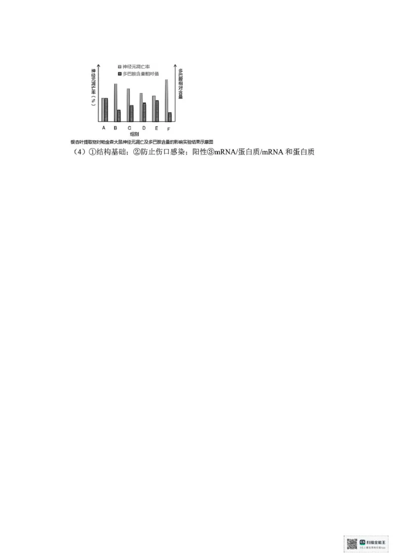浙江省金华十校2025-2026学年高二上学期2月期末生物试题（图片版，含答案）_2026年02月高二试卷_260215浙江省金华十校2025-2026学年高二上学期2月期末（全）