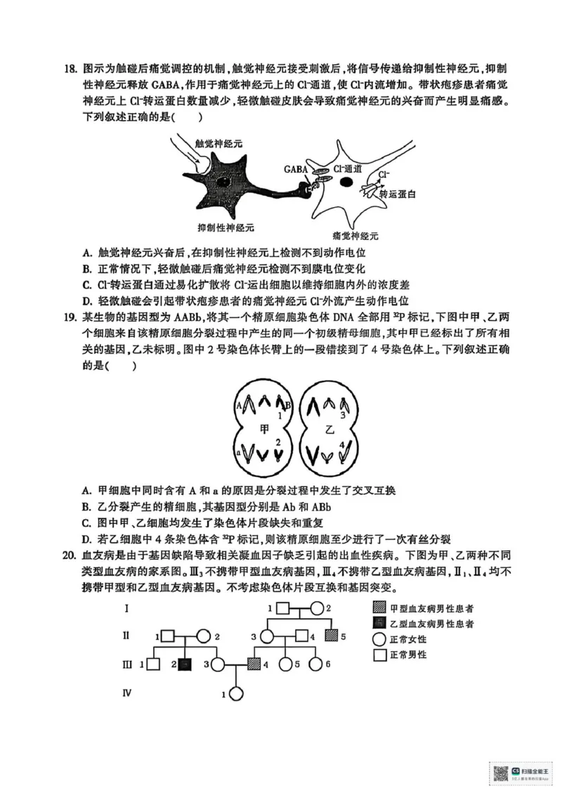 浙江省金华十校2025-2026学年高二上学期2月期末生物试题（图片版，含答案）_2026年02月高二试卷_260215浙江省金华十校2025-2026学年高二上学期2月期末（全）