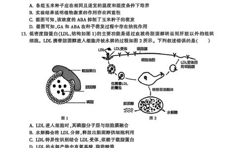 浙江省金华十校2025-2026学年高二上学期2月期末生物试题（图片版，含答案）_2026年02月高二试卷_260215浙江省金华十校2025-2026学年高二上学期2月期末（全）