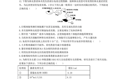 四川省德阳市第五中学2025-2026学年高二上学期期末模拟考试（1月月考）生物试卷（含解析）_2026年02月高二试卷_260201四川省德阳市第五中学2025-2026学年高二上学期1月月考
