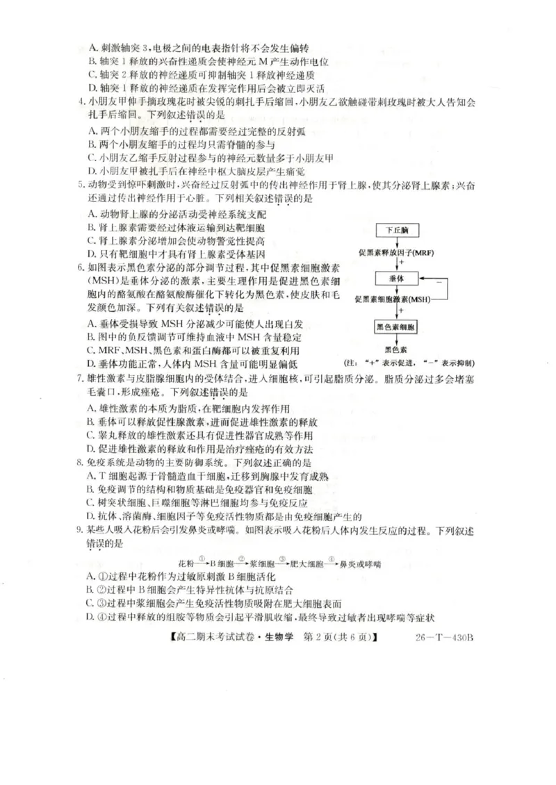 陕西省靖边县靖边中学2025-2026学年高二上学期末考试生物试题_2026年02月高二试卷_260207陕西省榆林市靖边县靖边中学2025-2026学年高二上学期期末考试