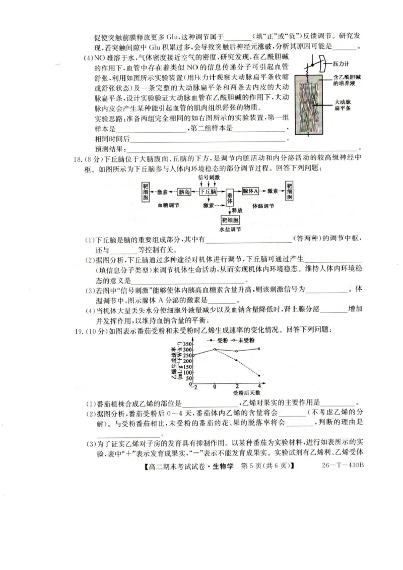 陕西省靖边县靖边中学2025-2026学年高二上学期末考试生物试题_2026年02月高二试卷_260207陕西省榆林市靖边县靖边中学2025-2026学年高二上学期期末考试