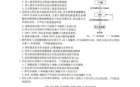 陕西省靖边县靖边中学2025-2026学年高二上学期末考试生物试题_2026年02月高二试卷_260207陕西省榆林市靖边县靖边中学2025-2026学年高二上学期期末考试