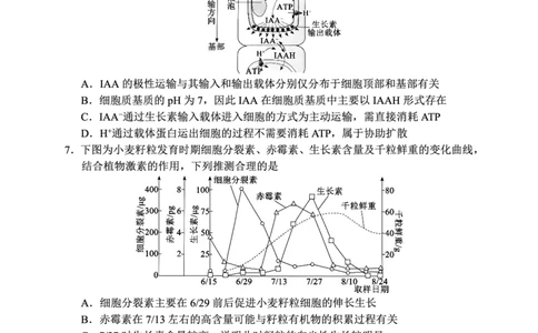 四川省蓉城名校联盟2027届高二上学期期末考试生物_2026年02月高二试卷_260206四川省蓉城名校联盟2027届高二上学期期末考试（全）