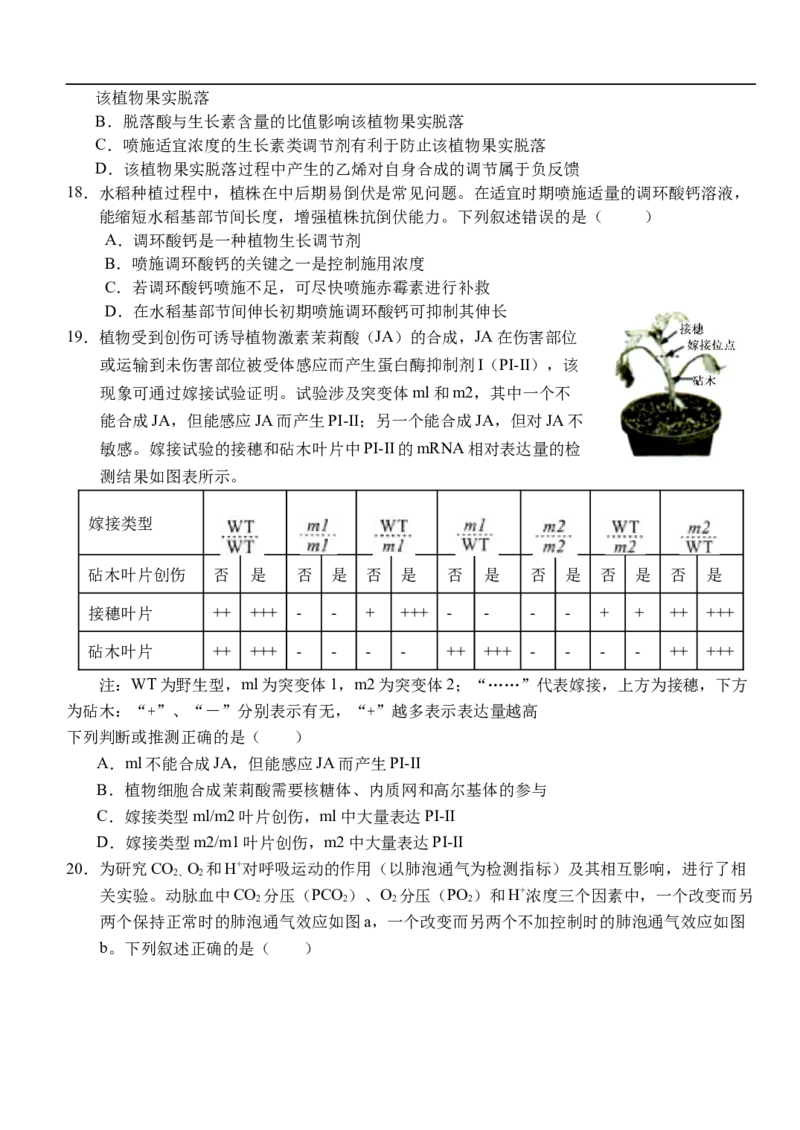 湖北省荆州市沙市中学2025-2026学年高二上学期1月月考生物试题（含答案）_2026年02月高二试卷_260201湖北省荆州市沙市中学2025-2026学年高二上学期1月月考