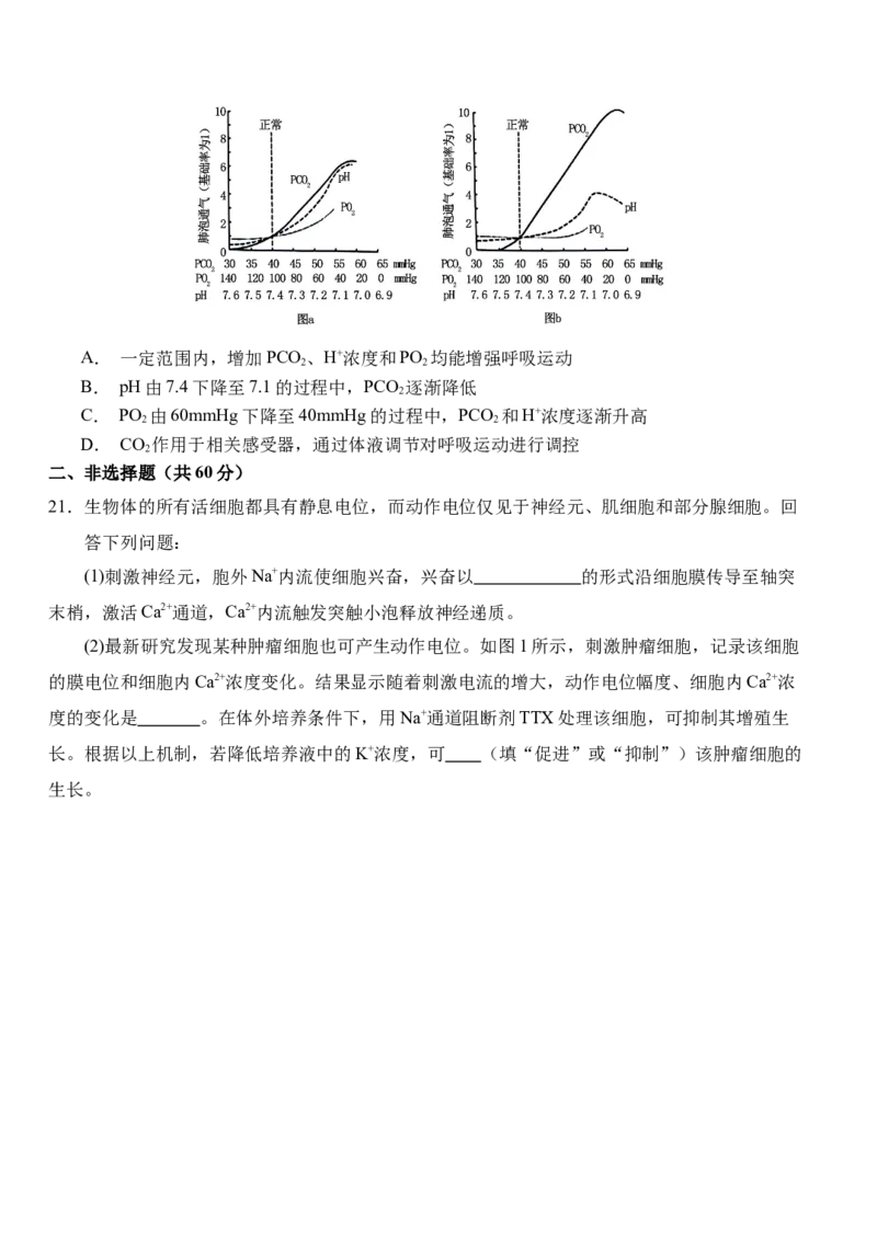 湖北省荆州市沙市中学2025-2026学年高二上学期1月月考生物试题（含答案）_2026年02月高二试卷_260201湖北省荆州市沙市中学2025-2026学年高二上学期1月月考