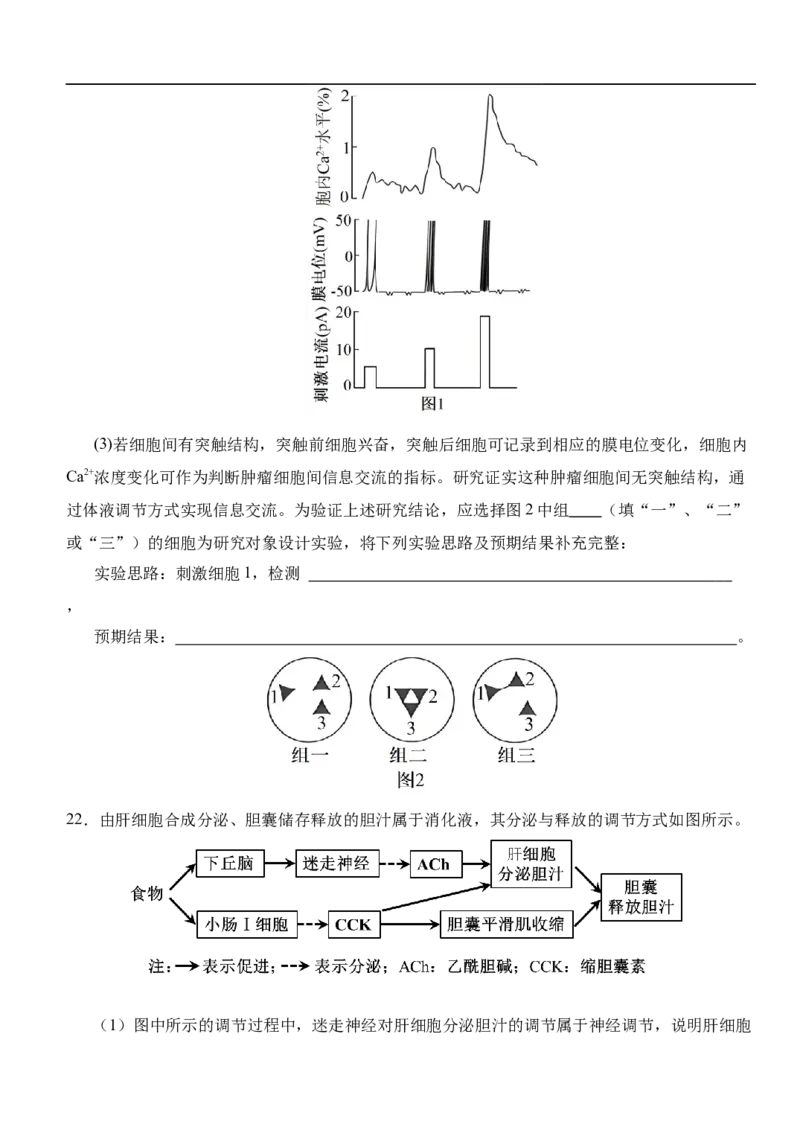 湖北省荆州市沙市中学2025-2026学年高二上学期1月月考生物试题（含答案）_2026年02月高二试卷_260201湖北省荆州市沙市中学2025-2026学年高二上学期1月月考