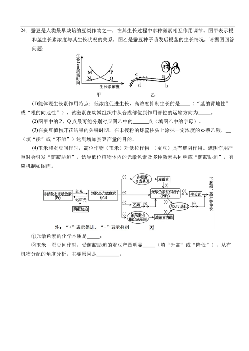 湖北省荆州市沙市中学2025-2026学年高二上学期1月月考生物试题（含答案）_2026年02月高二试卷_260201湖北省荆州市沙市中学2025-2026学年高二上学期1月月考