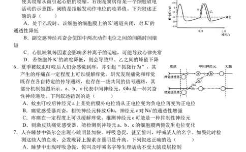湖北省荆州市沙市中学2025-2026学年高二上学期1月月考生物试题（含答案）_2026年02月高二试卷_260201湖北省荆州市沙市中学2025-2026学年高二上学期1月月考