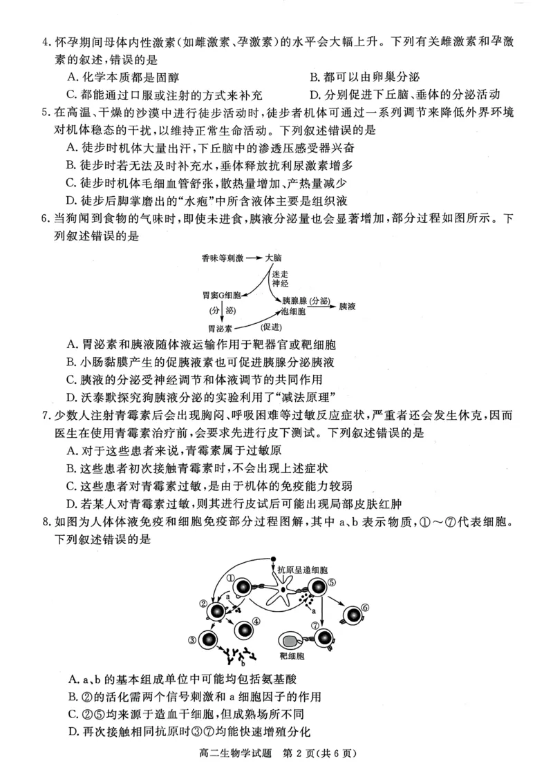 山西省晋城市2025-2026学年高二年级上学期期末自测生物学（图片版，含解析）_2026年02月高二试卷_260219山西省晋城市2025-2026学年高二上学期2月期末自测（全）