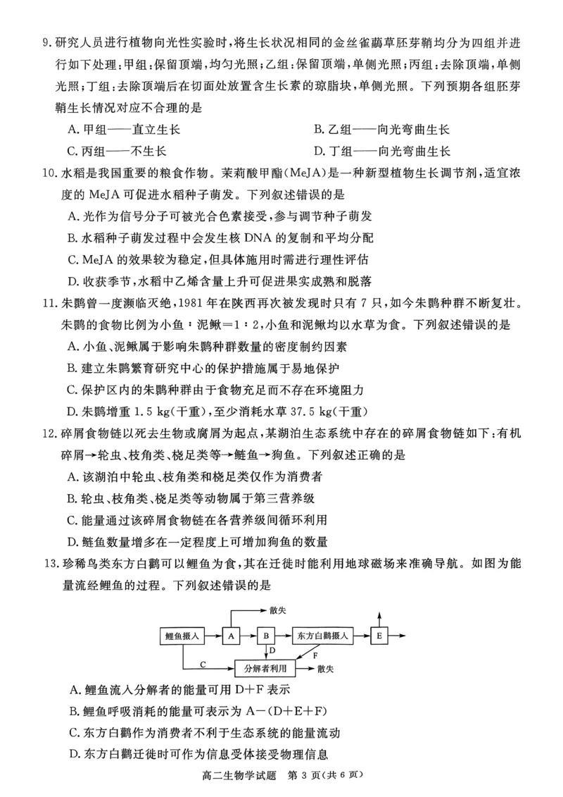 山西省晋城市2025-2026学年高二年级上学期期末自测生物学（图片版，含解析）_2026年02月高二试卷_260219山西省晋城市2025-2026学年高二上学期2月期末自测（全）