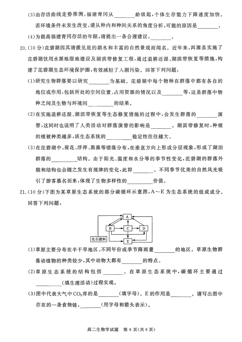 山西省晋城市2025-2026学年高二年级上学期期末自测生物学（图片版，含解析）_2026年02月高二试卷_260219山西省晋城市2025-2026学年高二上学期2月期末自测（全）