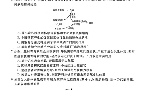 山西省晋城市2025-2026学年高二年级上学期期末自测生物学（图片版，含解析）_2026年02月高二试卷_260219山西省晋城市2025-2026学年高二上学期2月期末自测（全）