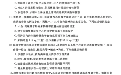 山西省晋城市2025-2026学年高二年级上学期期末自测生物学（图片版，含解析）_2026年02月高二试卷_260219山西省晋城市2025-2026学年高二上学期2月期末自测（全）