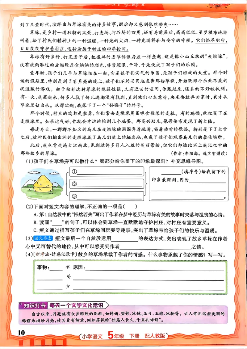 语文王朝霞活页同步练习册5下_2026春小学教辅大合集_8-26春《王朝霞》系列_02.2026春WZX活页同步练习册_26春语文