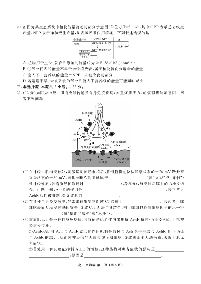 高二期末质量监测生物正文_2026年02月高二试卷_260203辽宁省点石联考2027届高二期末质量监测（全）