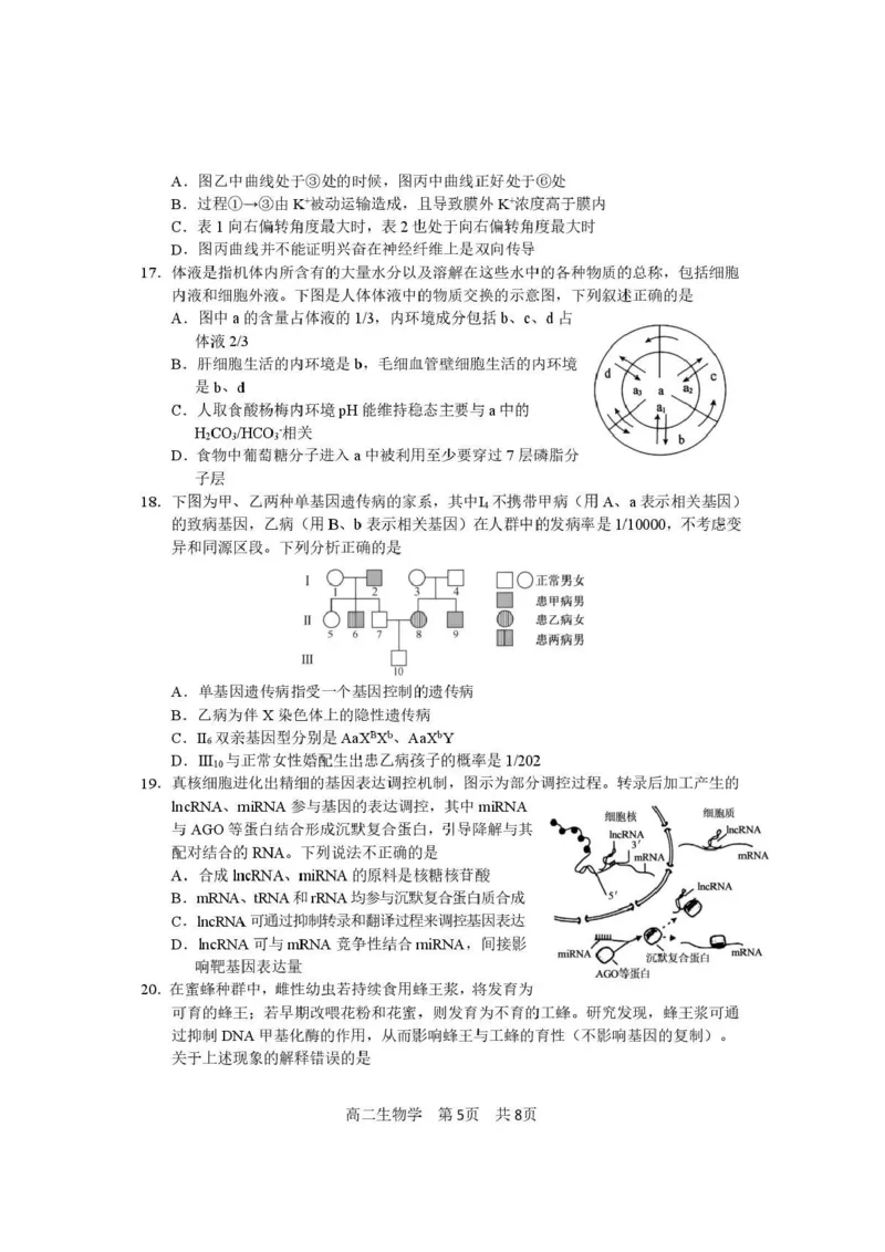 攀枝花市2025-2026学年度高二（上）教学质量监测样卷生物_2026年02月高二试卷_260203四川省攀枝花市2025-2026学年度高二（上）教学质量监测样卷（全）