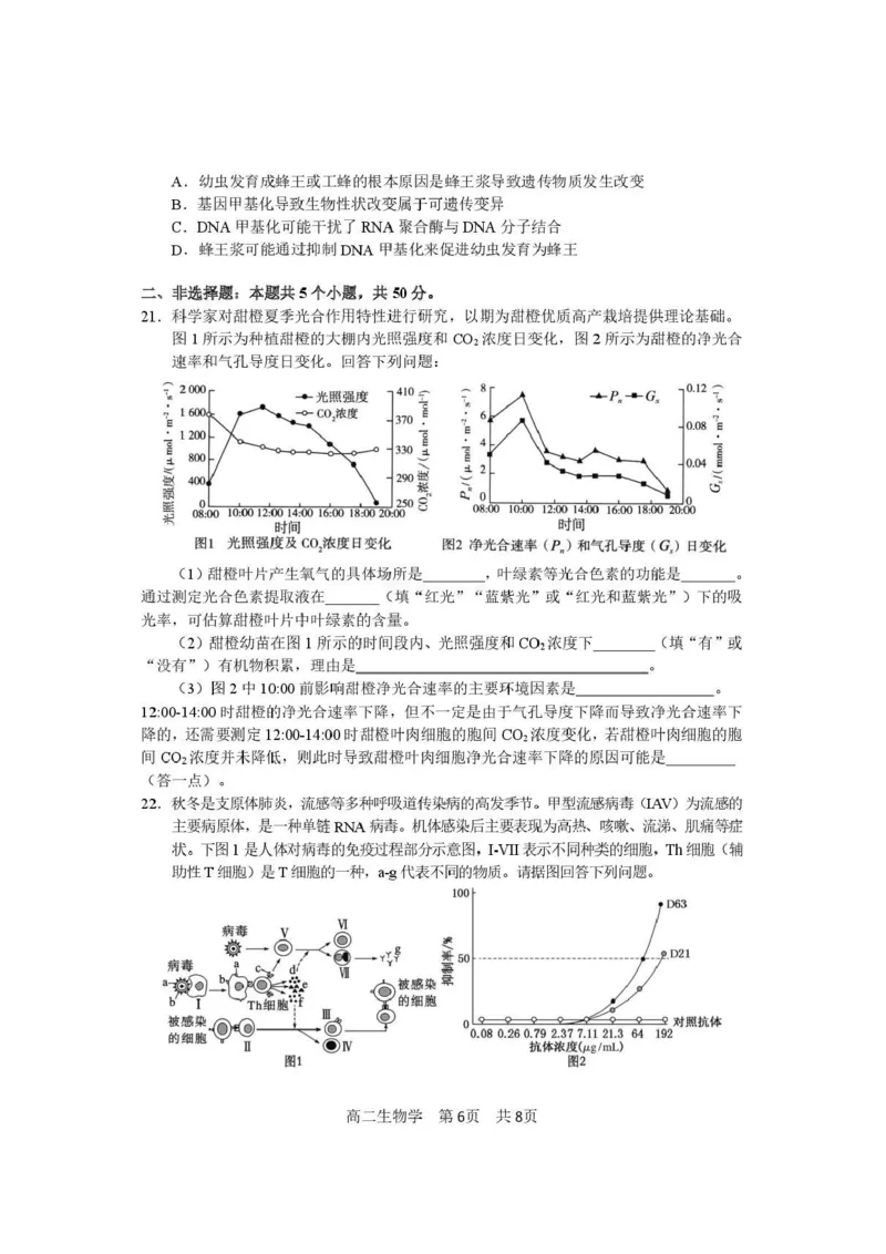 攀枝花市2025-2026学年度高二（上）教学质量监测样卷生物_2026年02月高二试卷_260203四川省攀枝花市2025-2026学年度高二（上）教学质量监测样卷（全）