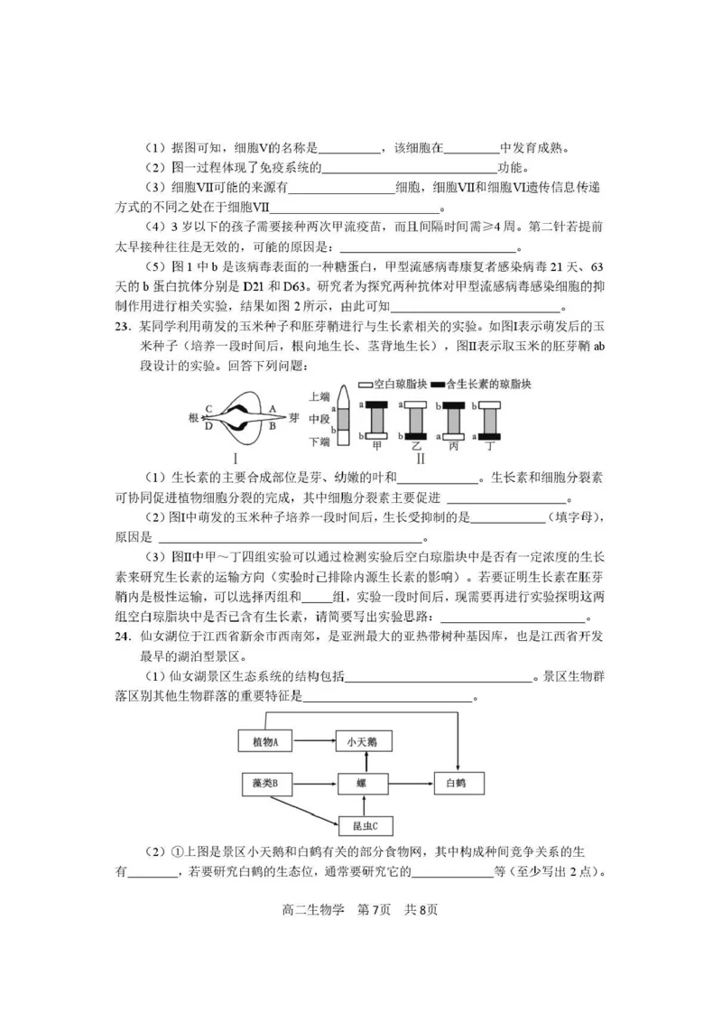 攀枝花市2025-2026学年度高二（上）教学质量监测样卷生物_2026年02月高二试卷_260203四川省攀枝花市2025-2026学年度高二（上）教学质量监测样卷（全）