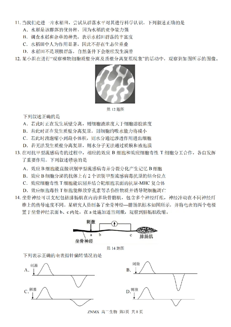 生物试题卷_副本_副本_2026年03月高二试卷_260326浙江省浙南名校联盟2026年高二年级下学期返校(开学)考试全科_06生物_浙江省浙南名校联盟高二年级下学期返校(开学)考试