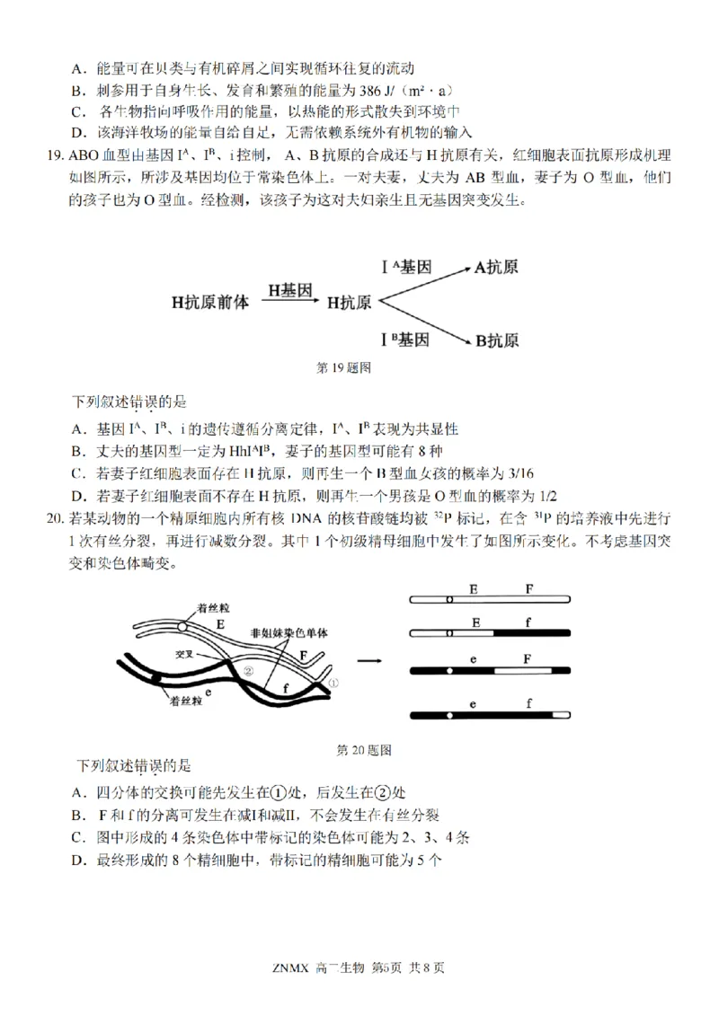生物试题卷_副本_副本_2026年03月高二试卷_260326浙江省浙南名校联盟2026年高二年级下学期返校(开学)考试全科_06生物_浙江省浙南名校联盟高二年级下学期返校(开学)考试