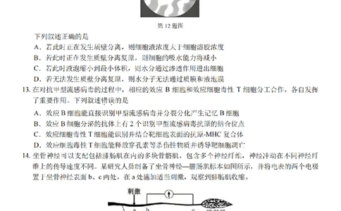 生物试题卷_副本_副本_2026年03月高二试卷_260326浙江省浙南名校联盟2026年高二年级下学期返校(开学)考试全科_06生物_浙江省浙南名校联盟高二年级下学期返校(开学)考试