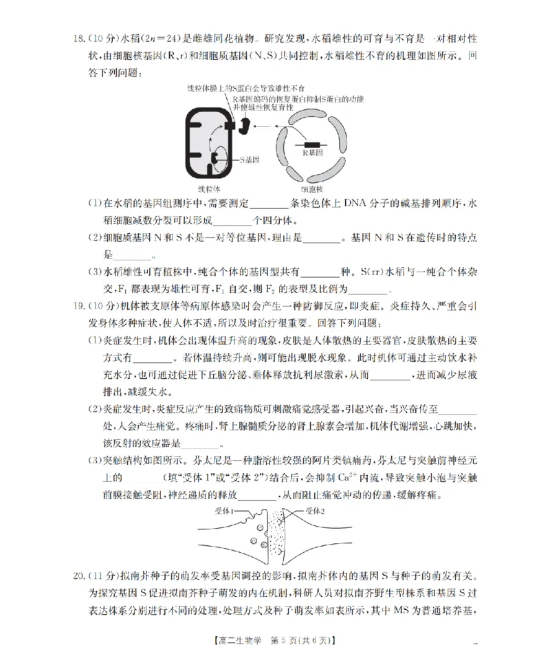 生物学_扫描版_2026年02月高二试卷_260206甘肃省多校2025-2026学年高二上学期1月期末（全）