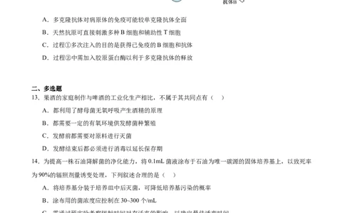湖南省长沙市雅礼中学2025-2026学年高二上学期期末考试生物试卷（含答案）_2026年02月高二试卷_260207湖南省长沙市雅礼中学2025-2026学年高二上学期期末考试
