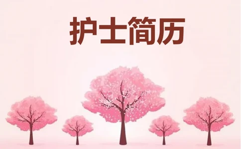 4_小升初《学生简历模板》单页+多页_行业简历_07、医护简历50款_护士简历模板27款