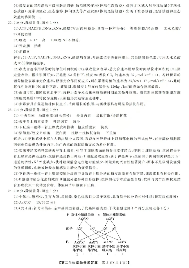 生物答案-2603高二强基联盟(已优化)_2026年03月高二试卷_260308浙江强基联盟2026年3月高二联考