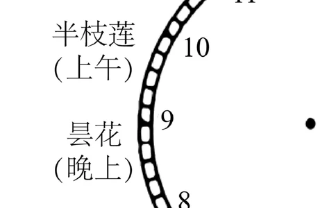 四川省泸州市三校联盟2025-2026学年高二上学期第一次联合考试地理试题（试卷）_2026年02月高二试卷_260206四川省泸州市三校联盟2025-2026学年高二上学期第一次联合考试（全）