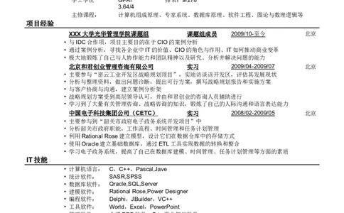 应聘IT咨询公司的简历模板_小升初《学生简历模板》单页+多页_行业简历_咨询类
