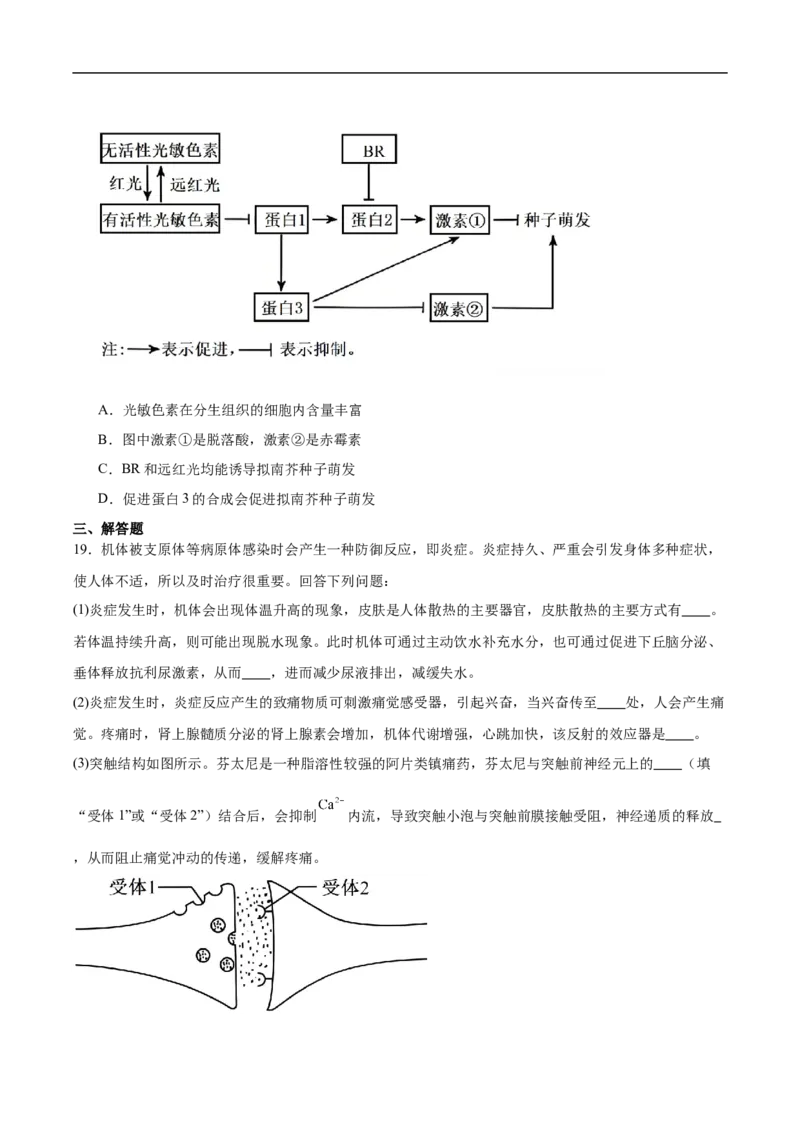 河北省保定市2025-2026学年高二上学期1月期末生物试卷（含答案）_2026年02月高二试卷_260210河北省保定市2025-2026学年高二上学期1月期末